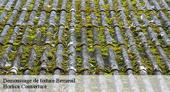 Demoussage de toiture  berneuil-16480 Hortica Couverture