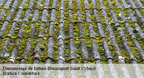 Demoussage de toiture  blanzaguet-saint-cybard-16320 Hortica Couverture