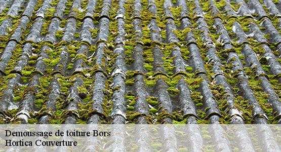 Demoussage de toiture  bors-16360 Hortica Couverture