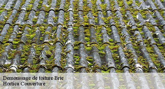 Demoussage de toiture  brie-16590 Hortica Couverture