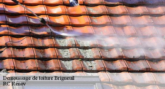 Demoussage de toiture brigueuil-16420 RC Rénov