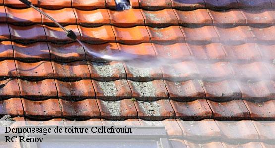 Demoussage de toiture  cellefrouin-16260 RC Rénov