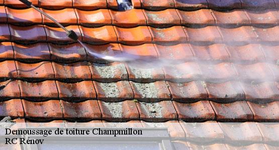 Demoussage de toiture  champmillon-16290 RC Rénov