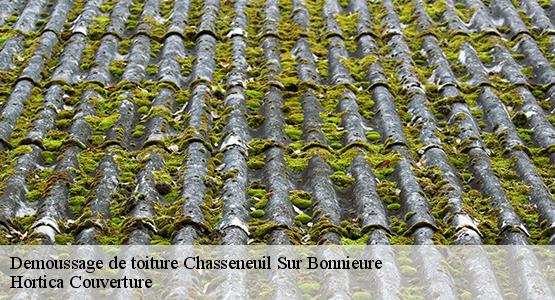 Demoussage de toiture  chasseneuil-sur-bonnieure-16260 Hortica Couverture