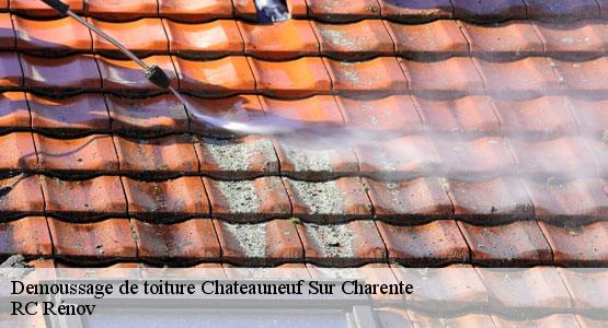 Demoussage de toiture  chateauneuf-sur-charente-16120 RC Rénov