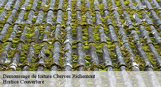 Demoussage de toiture  cherves-richemont-16370 Hortica Couverture
