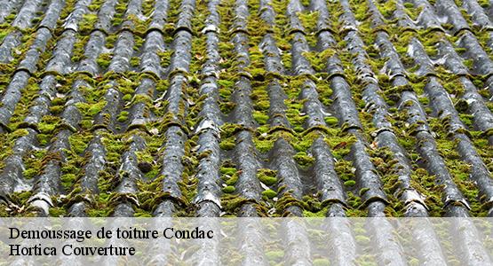 Demoussage de toiture  condac-16700 Hortica Couverture