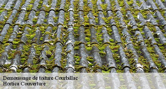 Demoussage de toiture  courbillac-16200 Hortica Couverture