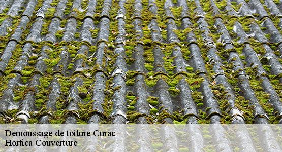 Demoussage de toiture  curac-16210 Hortica Couverture