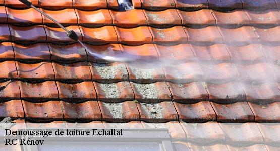 Demoussage de toiture echallat-16170 RC Rénov