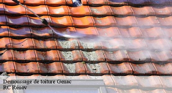 Demoussage de toiture  genac-16170 RC Rénov