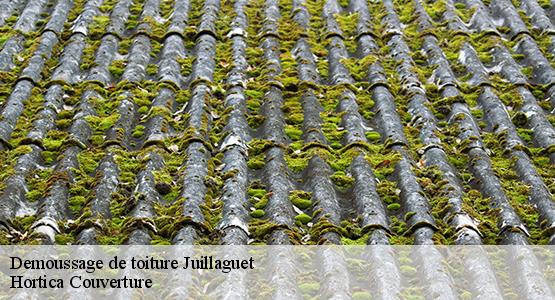 Demoussage de toiture  juillaguet-16320 Hortica Couverture