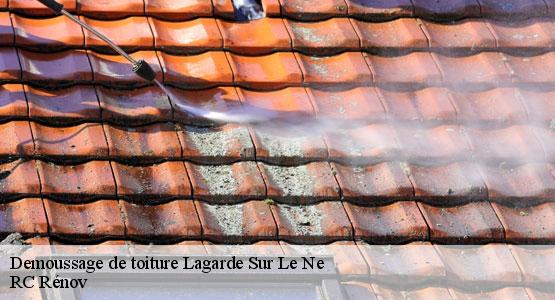 Demoussage de toiture  lagarde-sur-le-ne-16300 RC Rénov