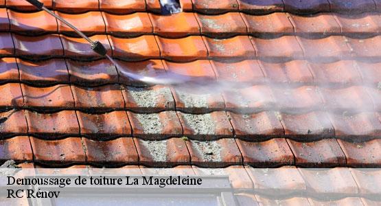 Demoussage de toiture la-magdeleine-16240 RC Rénov