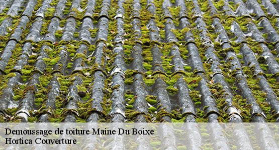 Demoussage de toiture  maine-du-boixe-16230 Hortica Couverture