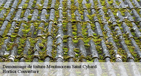 Demoussage de toiture  montmoreau-saint-cybard-16190 Hortica Couverture