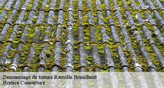 Demoussage de toiture  ranville-breuillaud-16140 Hortica Couverture