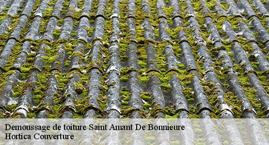 Demoussage de toiture  saint-amant-de-bonnieure-16230 Hortica Couverture