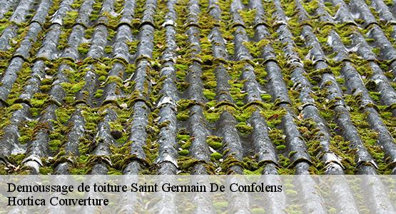 Demoussage de toiture  saint-germain-de-confolens-16500 Hortica Couverture