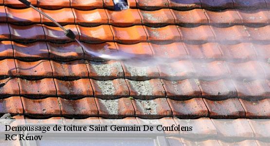 Demoussage de toiture  saint-germain-de-confolens-16500 RC Rénov