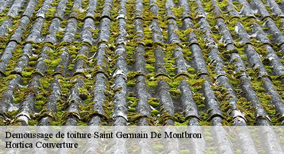 Demoussage de toiture  saint-germain-de-montbron-16380 Hortica Couverture
