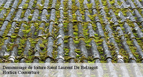 Demoussage de toiture  saint-laurent-de-belzagot-16190 Hortica Couverture