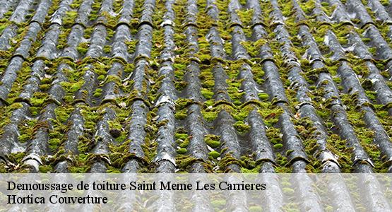 Demoussage de toiture  saint-meme-les-carrieres-16720 Hortica Couverture