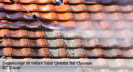 Demoussage de toiture  saint-quentin-sur-charente-16150 RC Rénov