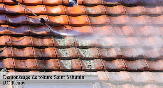 Demoussage de toiture saint-saturnin-16290 RC Rénov