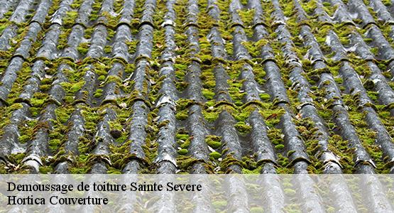 Demoussage de toiture  sainte-severe-16200 Hortica Couverture