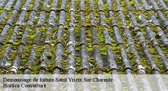 Demoussage de toiture  saint-yrieix-sur-charente-16710 Hortica Couverture