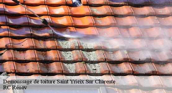 Demoussage de toiture saint-yrieix-sur-charente-16710 RC Rénov