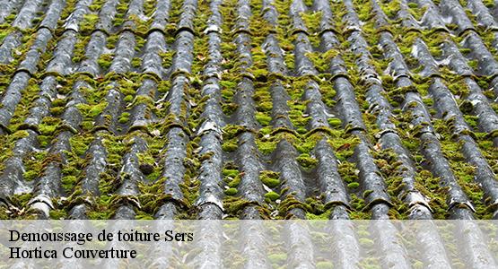 Demoussage de toiture  sers-16410 Hortica Couverture