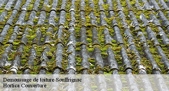 Demoussage de toiture  souffrignac-16380 Hortica Couverture