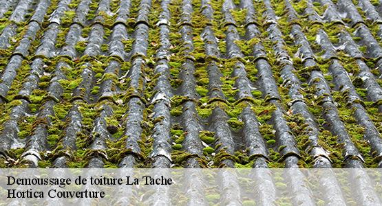 Demoussage de toiture  la-tache-16260 Hortica Couverture