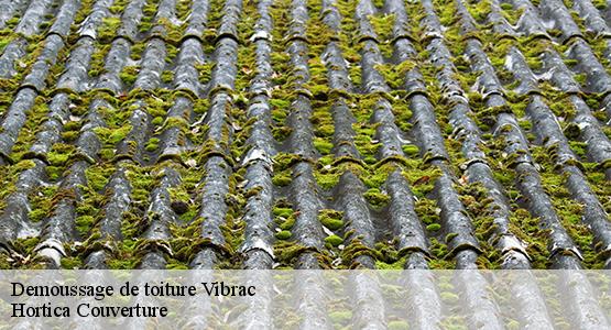 Demoussage de toiture  vibrac-16120 Hortica Couverture