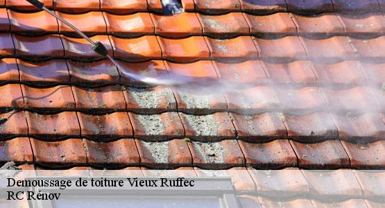 Demoussage de toiture vieux-ruffec-16350 RC Rénov