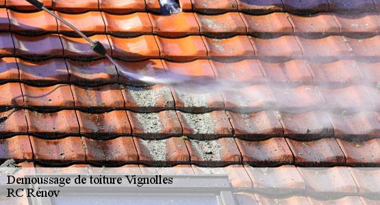 Demoussage de toiture vignolles-16300 RC Rénov