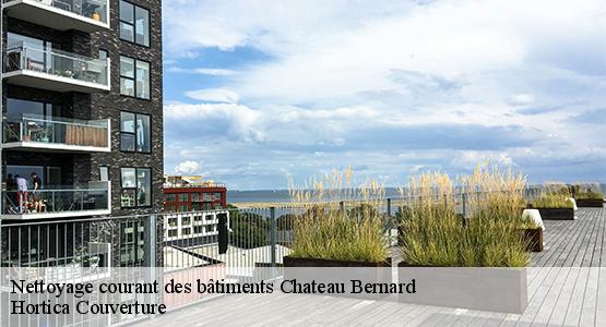 Nettoyage courant des bâtiments  chateau-bernard-16100 Hortica Couverture